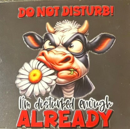 Funny / Sarcastic / Explicit / Dark Humor DECALS