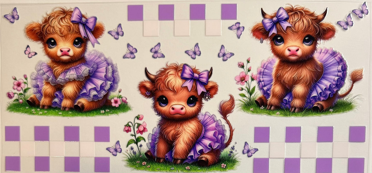 Vaca de las Highlands con margarita