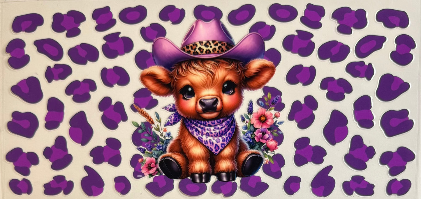 Vaca de las Highlands con margarita