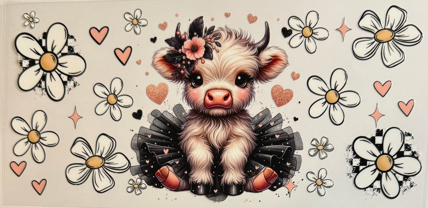 Vaca de las Highlands con margarita