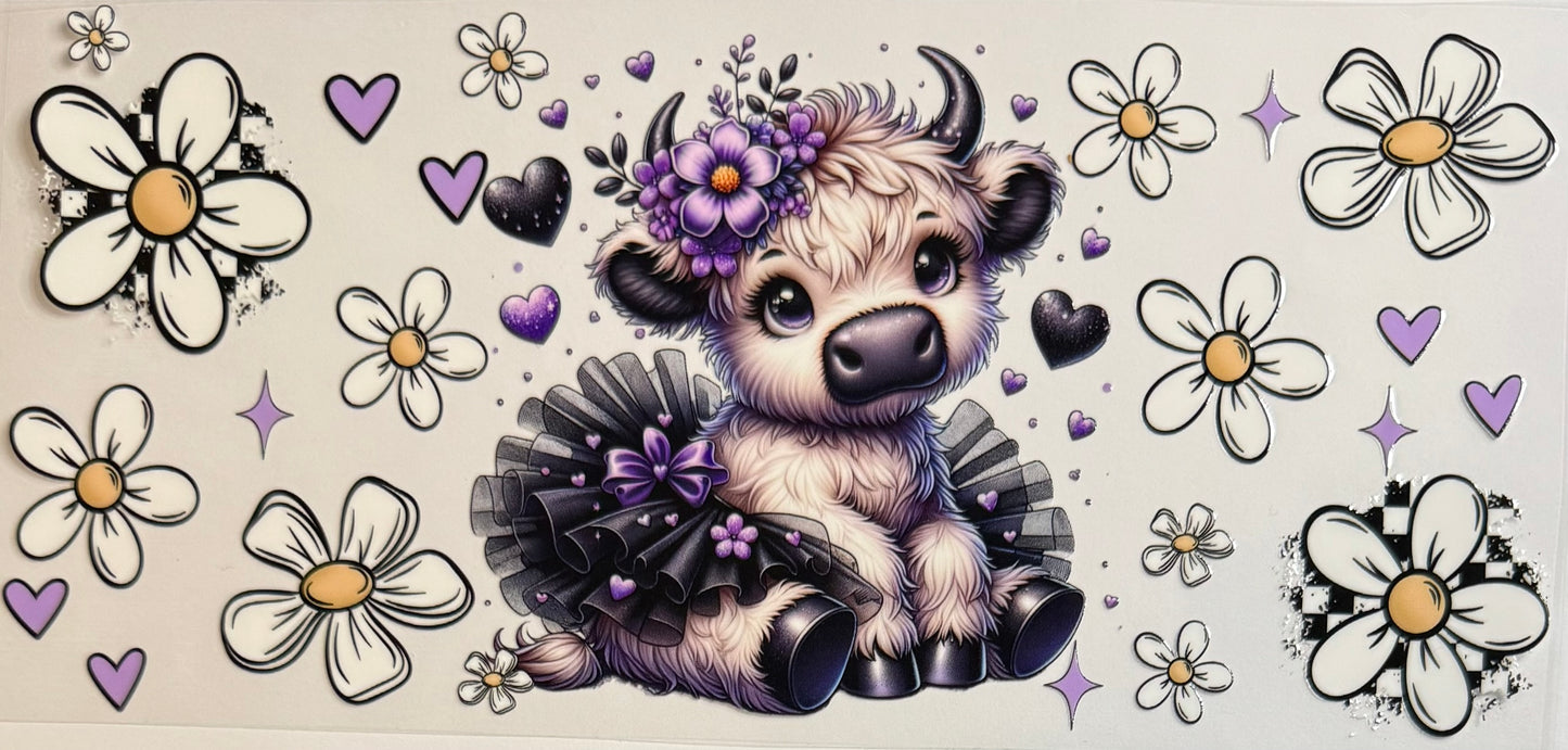 Vaca de las Highlands con margarita