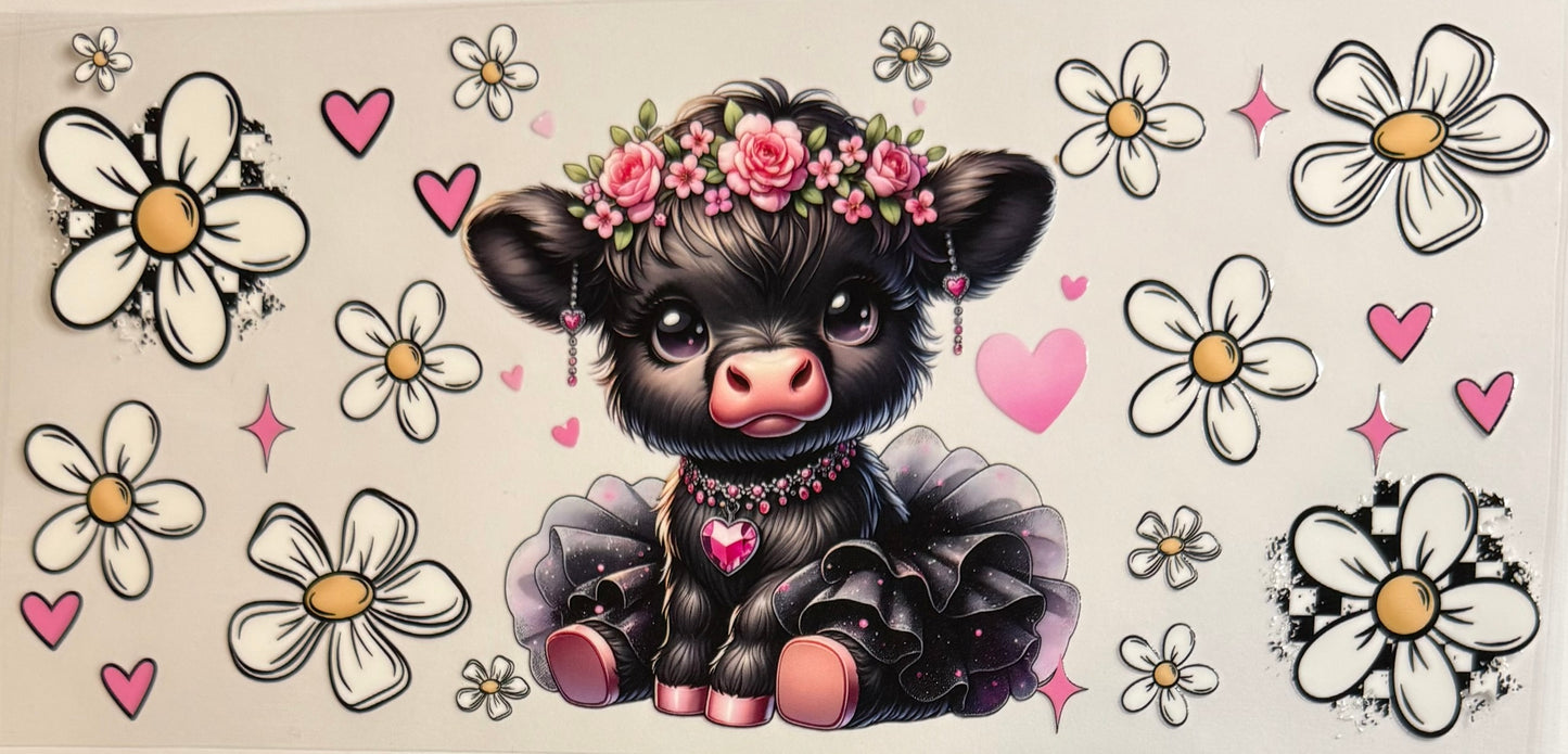 Vaca de las Highlands con margarita