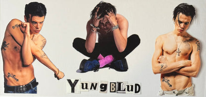 Celebrities / Singers