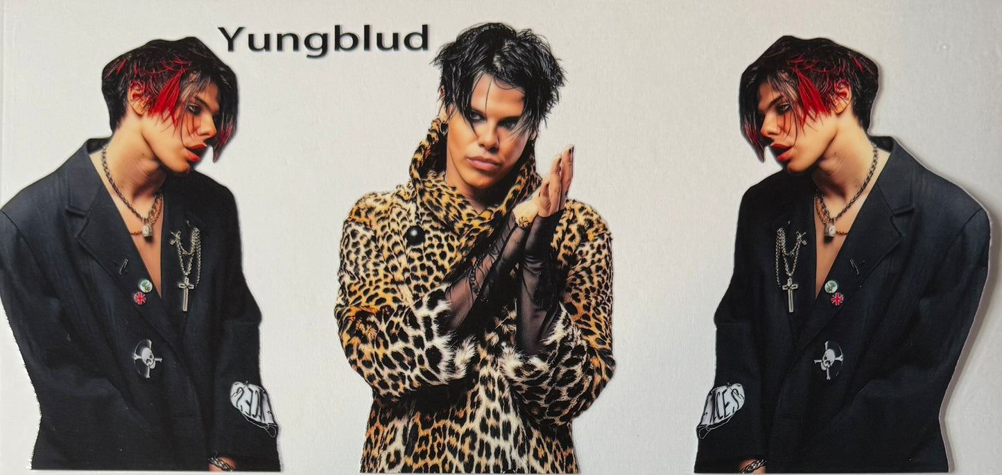 Celebrities / Singers