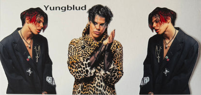 Celebrities / Singers