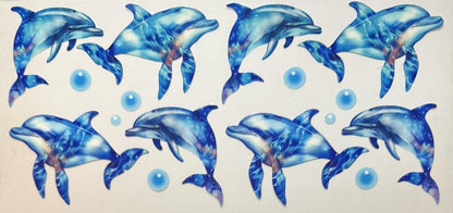 Animals (Sea Animals)