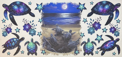 Animals (Sea Animals)