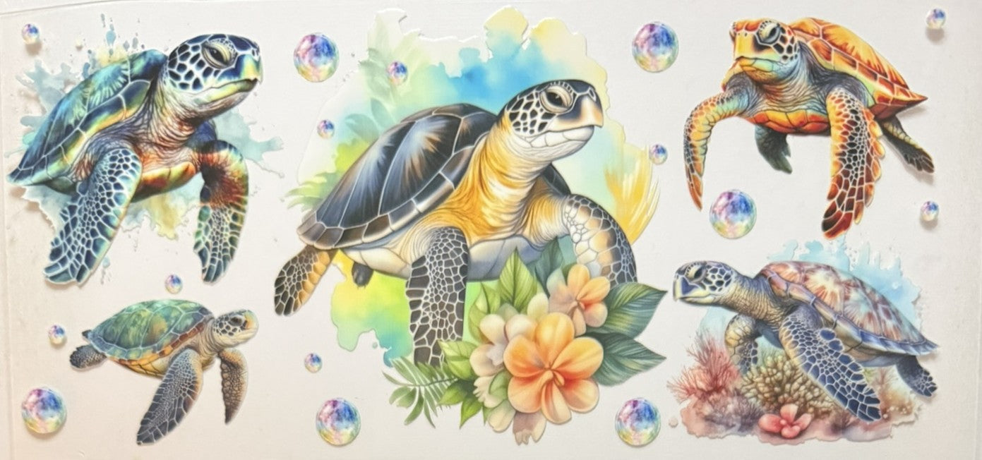 Animals (Sea Animals)