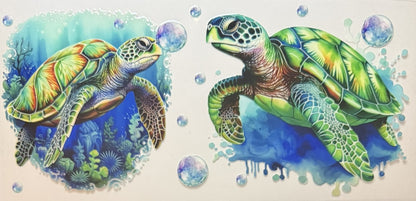 Animals (Sea Animals)