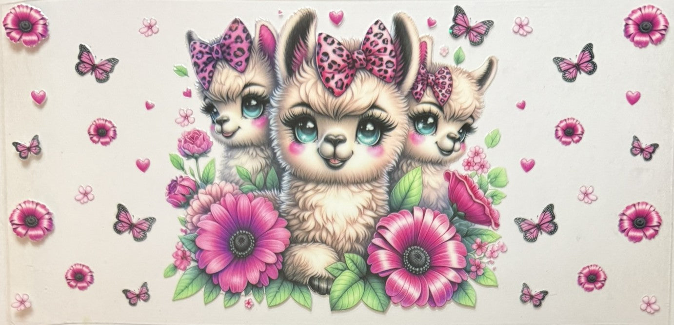Animals