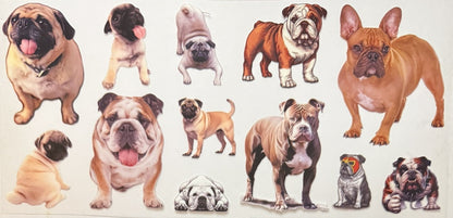 Animals