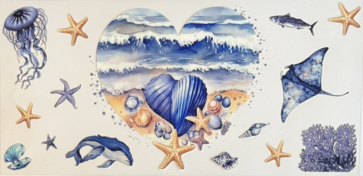 Beach / Summer