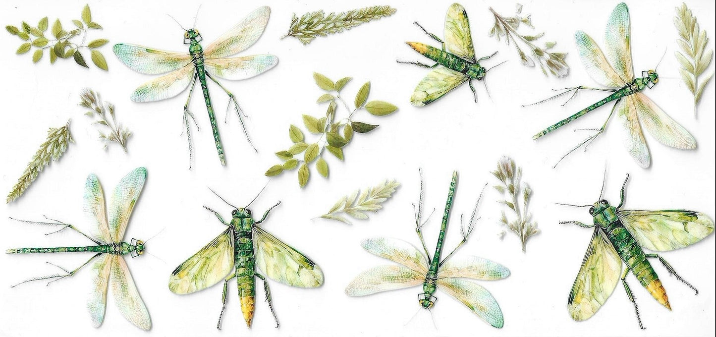 Butterflies / Dragonflies / Bees
