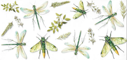 Butterflies / Dragonflies / Bees
