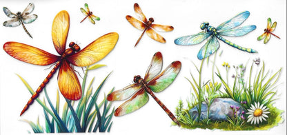 Butterflies / Dragonflies / Bees