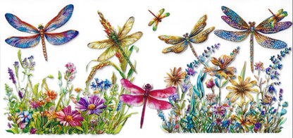 Butterflies / Dragonflies / Bees