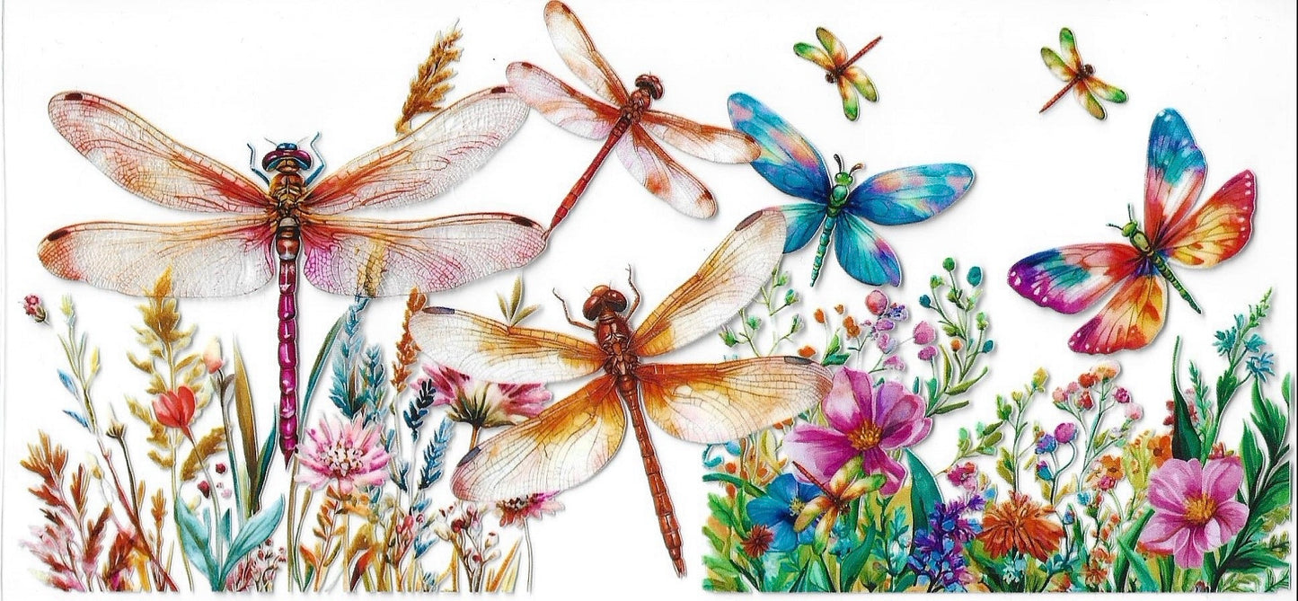Butterflies / Dragonflies / Bees