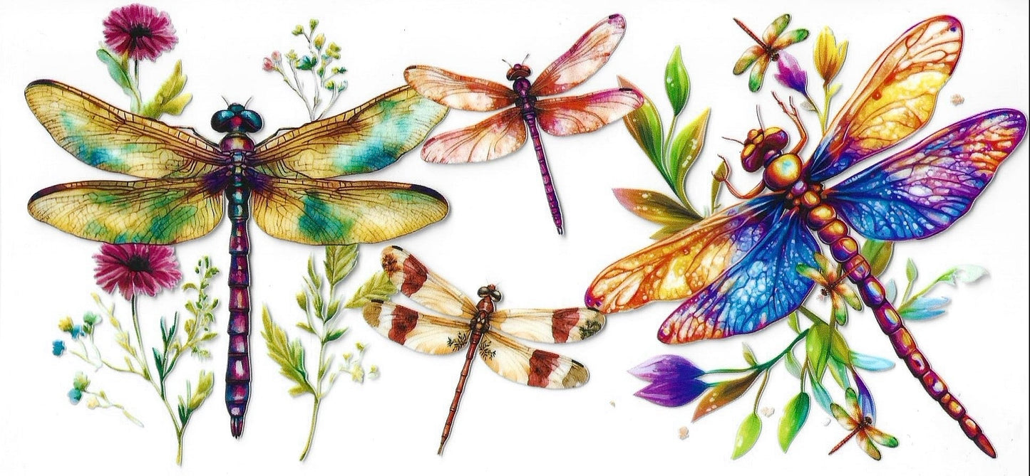 Butterflies / Dragonflies / Bees