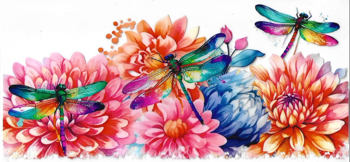 Butterflies / Dragonflies / Bees
