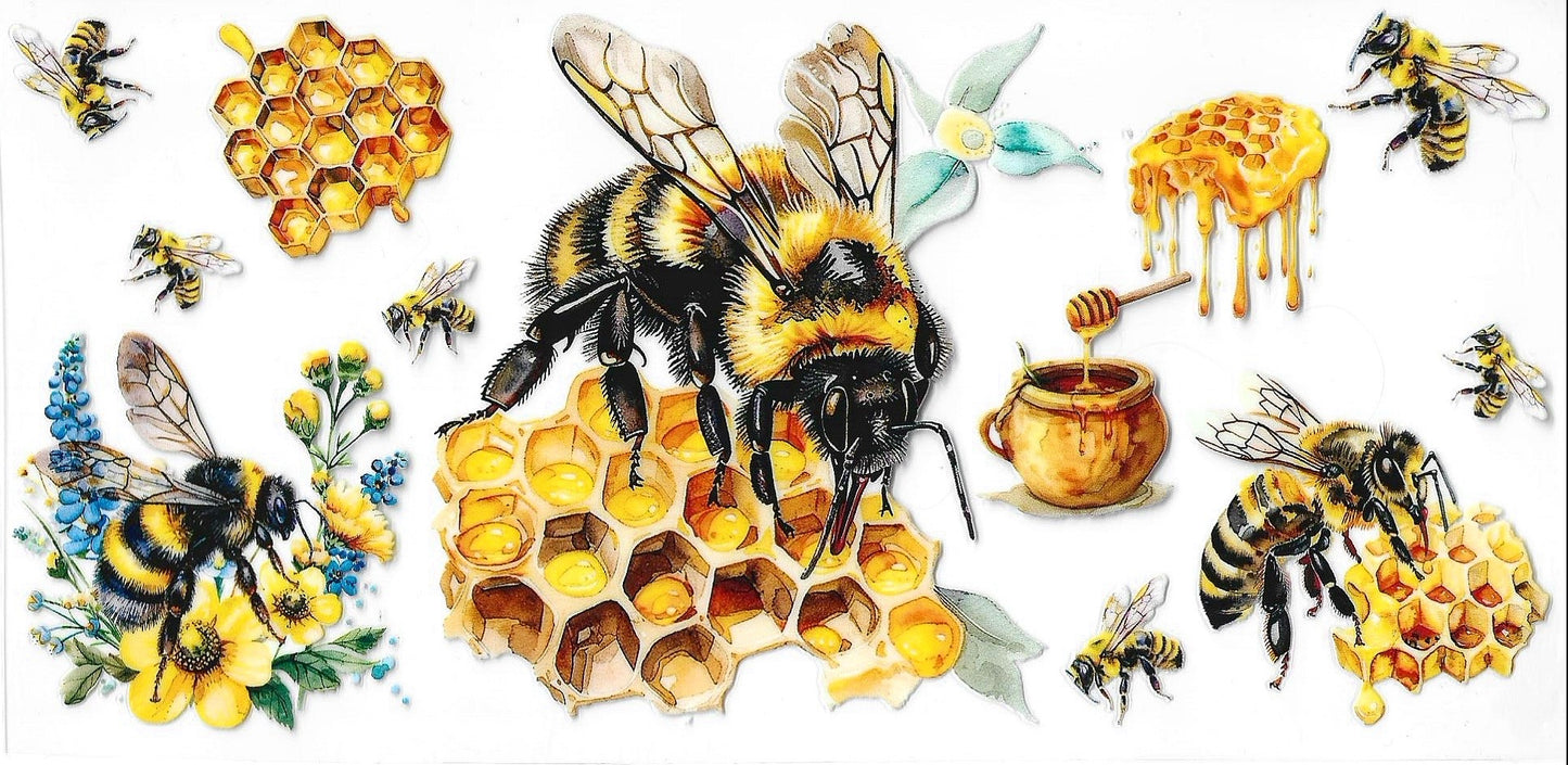 Butterflies / Dragonflies / Bees
