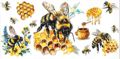 Butterflies / Dragonflies / Bees