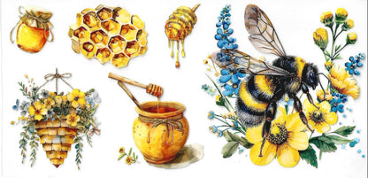 Butterflies / Dragonflies / Bees