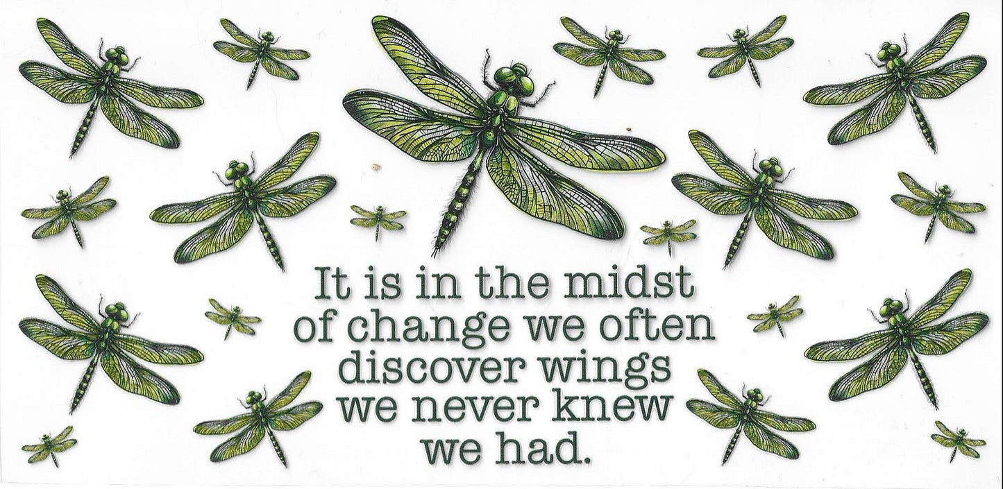 Butterflies / Dragonflies / Bees