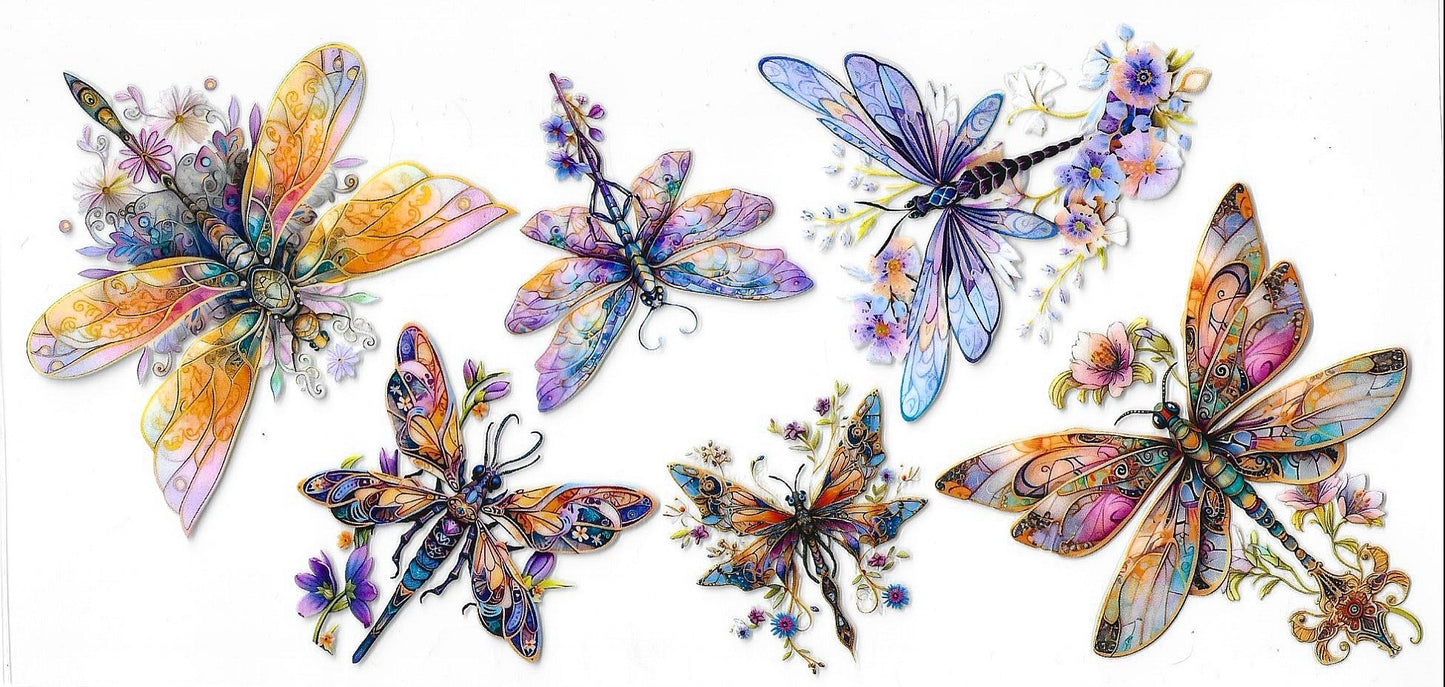 Butterflies / Dragonflies / Bees