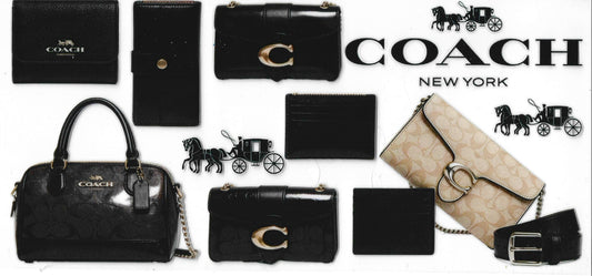 Designer (Chanel / Gucci / Coach)