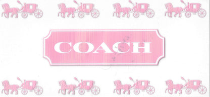 Designer (Chanel / Gucci / Coach)