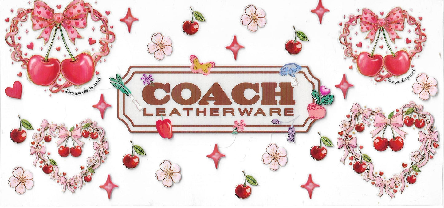 Designer (Chanel / Gucci / Coach)
