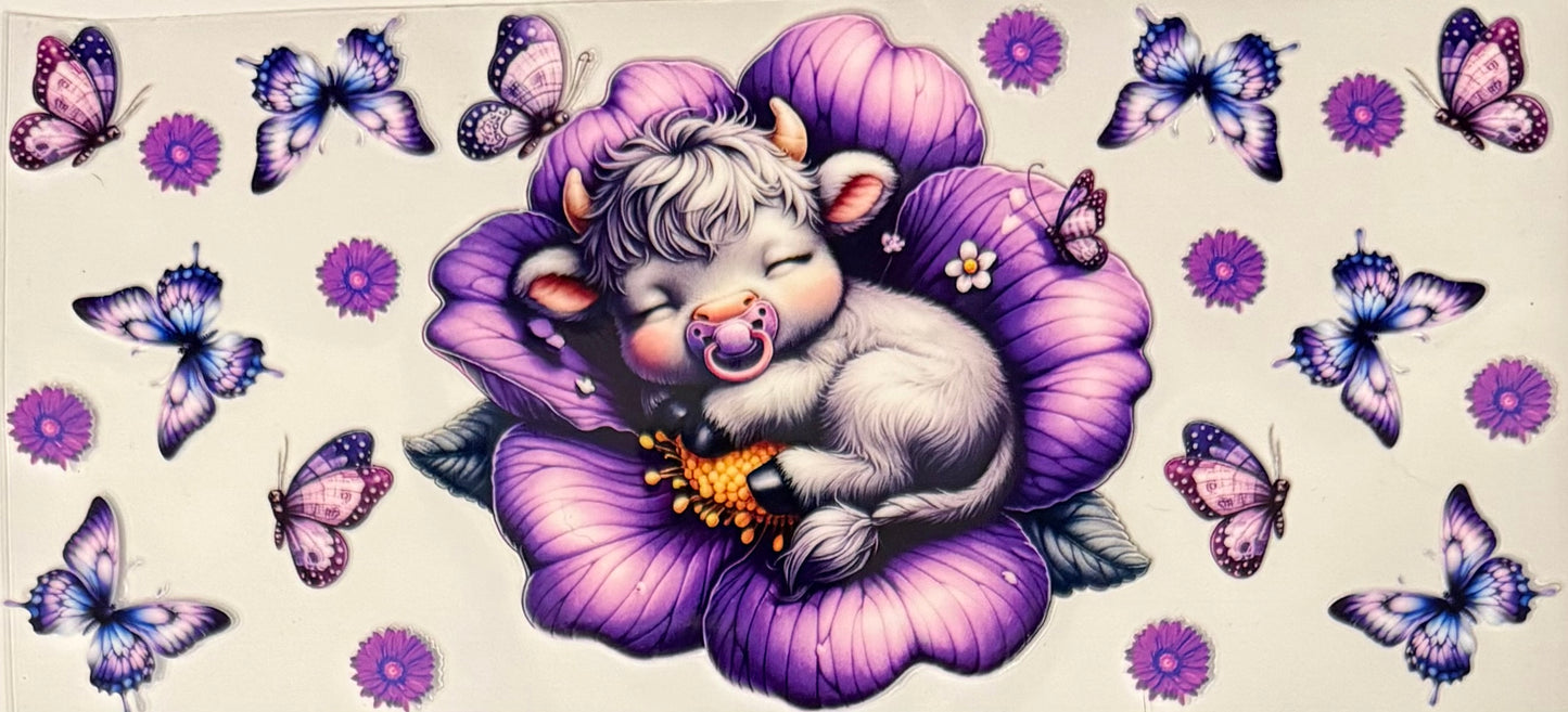 Vaca de las Highlands con margarita