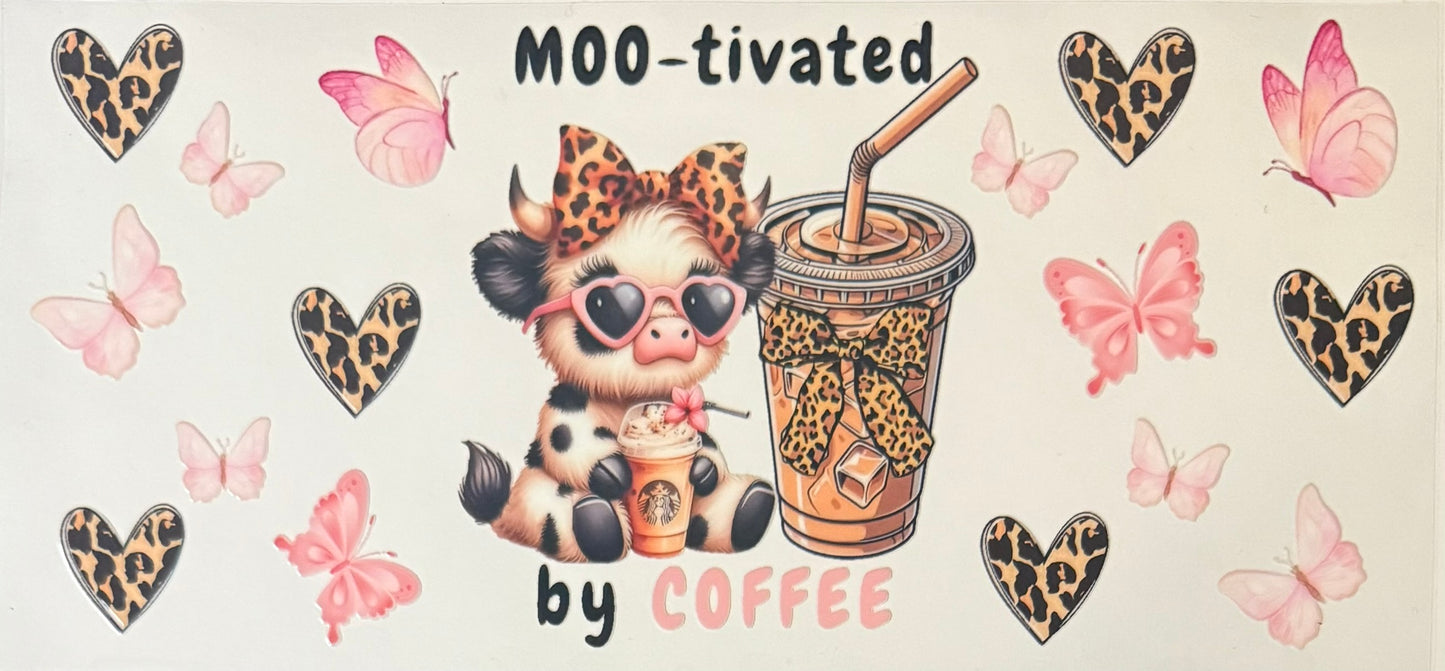 Vaca de las Highlands con margarita