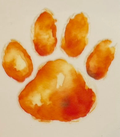 Paw Prints DECALS