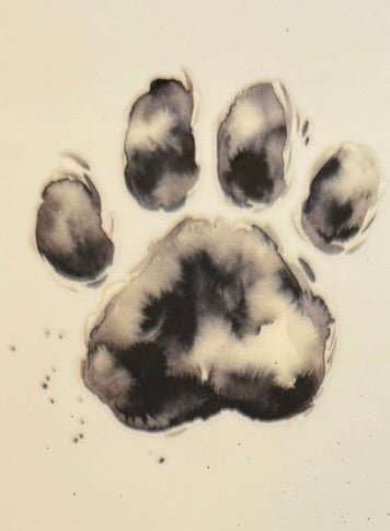 Paw Prints DECALS