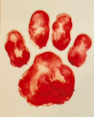 Paw Prints DECALS