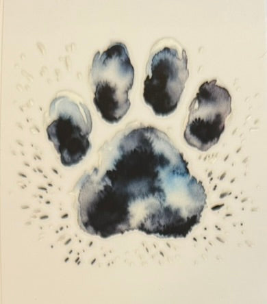 Paw Prints DECALS