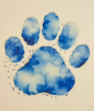 Paw Prints DECALS
