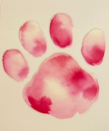 Paw Prints DECALS