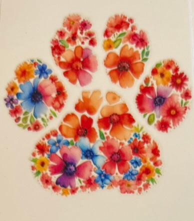 Paw Prints DECALS