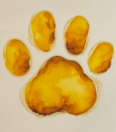 Paw Prints DECALS