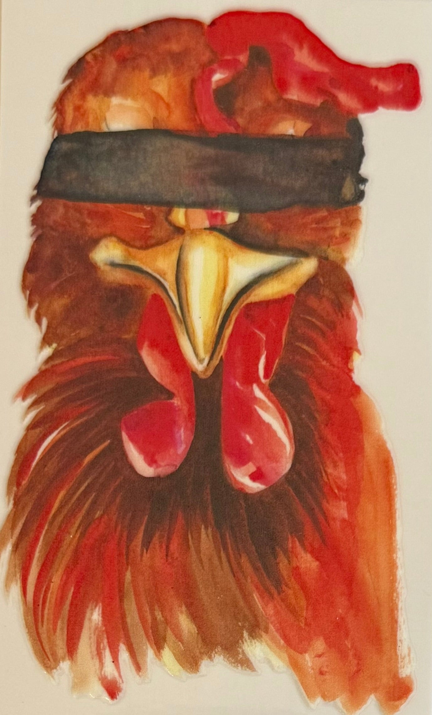 Funny / Sarcastic / Explicit / Dark Humor DECALS