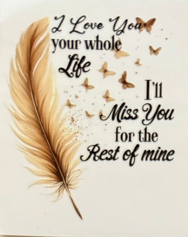 Dreamcatchers / Feathers DECALS