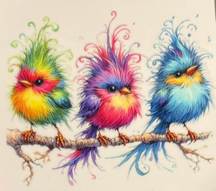 Quirky Birds DECALS