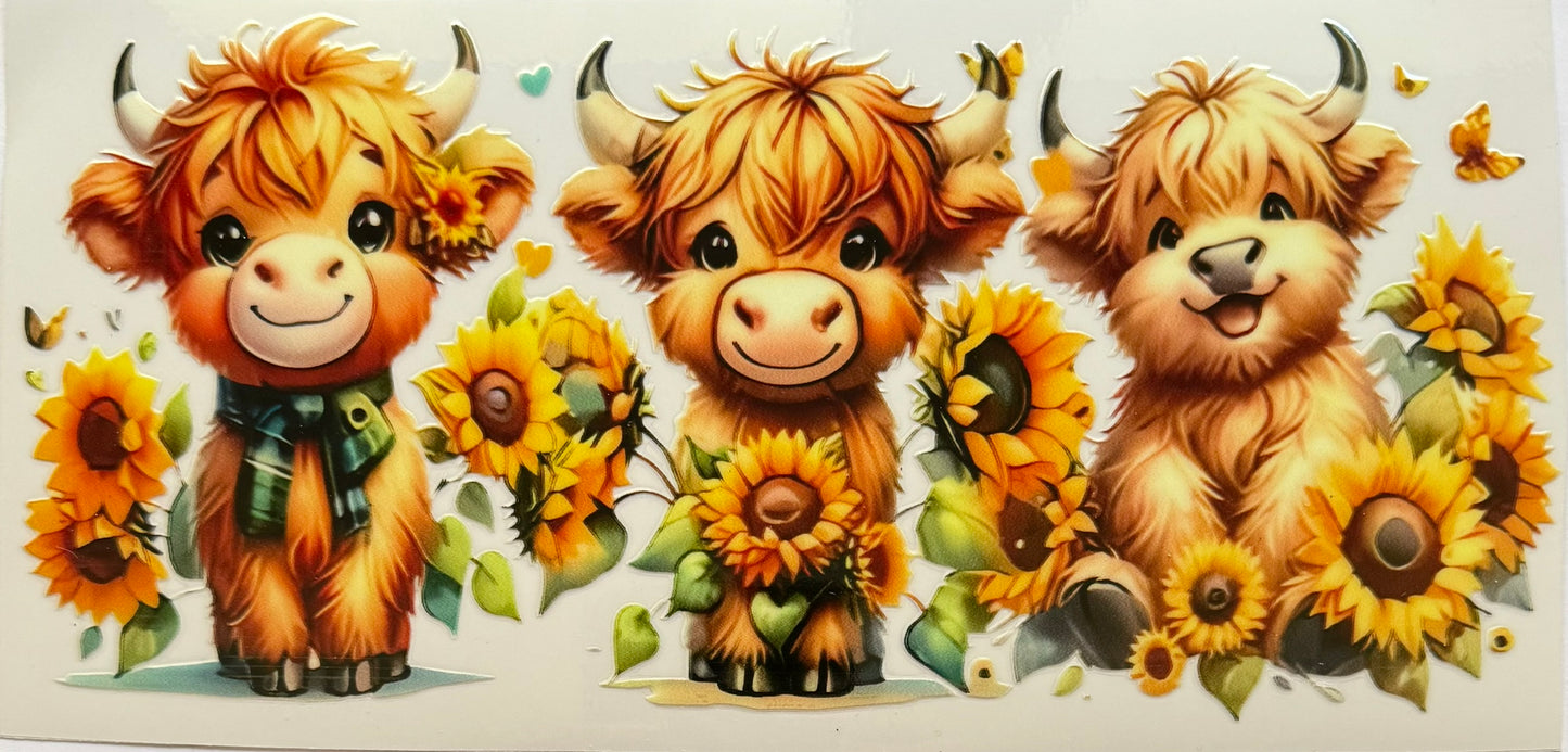 Vaca de las Highlands con margarita