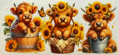 Vaca de las Highlands con margarita