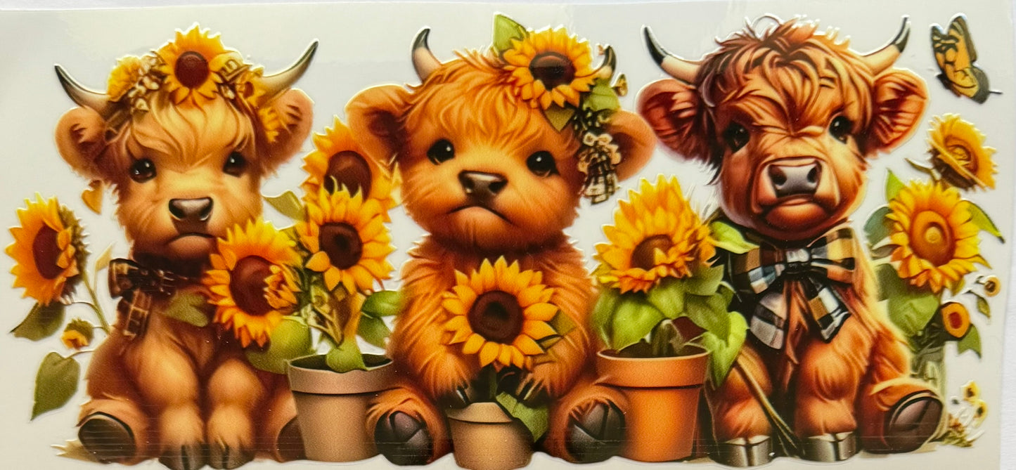 Vaca de las Highlands con margarita