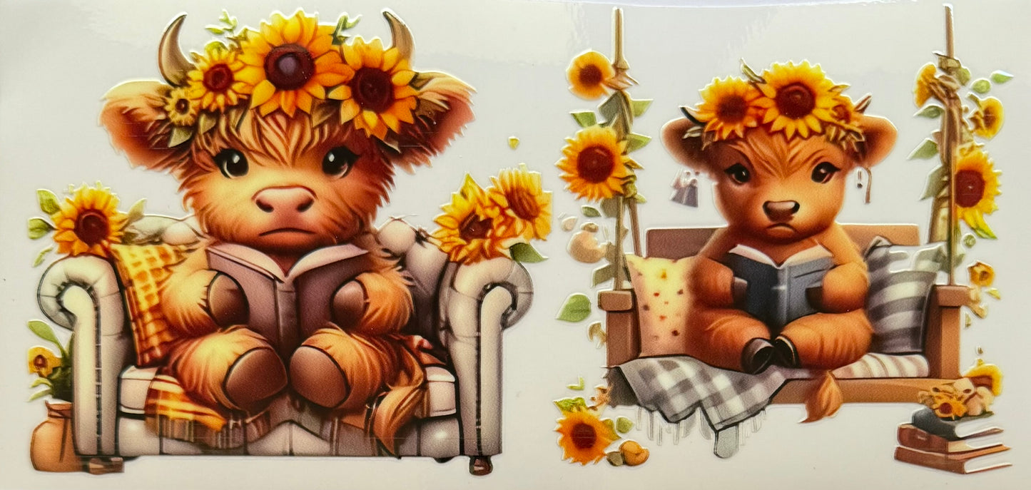 Vaca de las Highlands con margarita