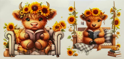 Vaca de las Highlands con margarita