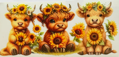 Vaca de las Highlands con margarita